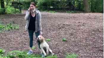 White woman who called police on Black birder in NYC's Central Park charged with filing false report