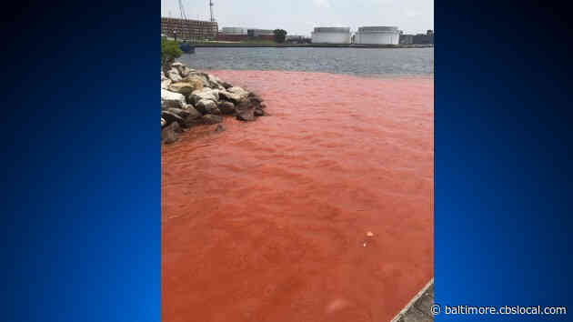 Plume Spreading Into Inner Harbor At Canton Waterfront Park, Blue Water Baltimore Reports