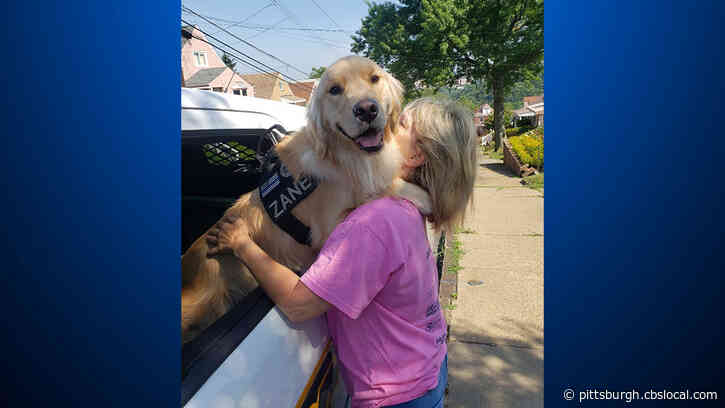 Pittsburgh Public Safety Urges Pet Owners To Avoid Leaving Animals In Cars Amid Soaring Temperatures