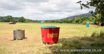 Horse injured following reports of animals being raced on A-road