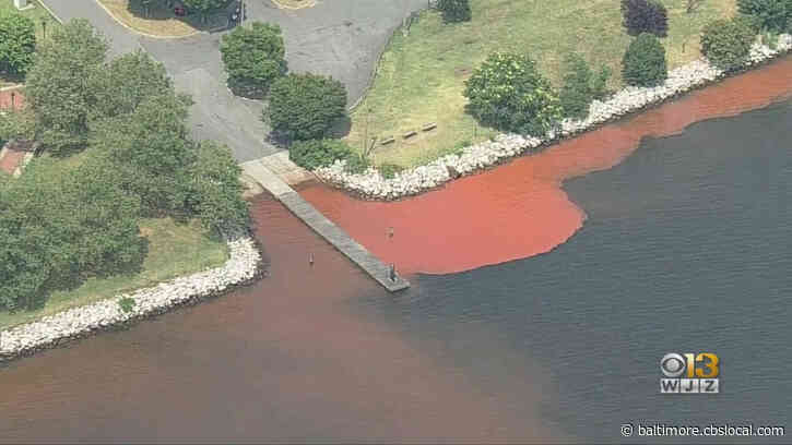 Water Main Break Causes Plume In Inner Harbor At Canton Waterfront Park