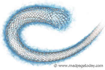 Study: Polymer-Free Stents Don't Deliver Long Term