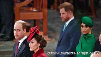 William and Harry agree to split Diana memorial fund future proceeds