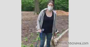 White woman who called police on Black bird watcher in Central Park faces false report charge