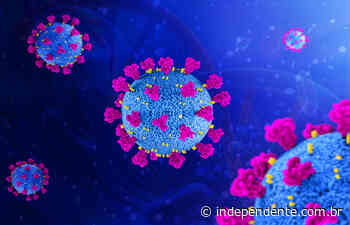 Estado informa 20 novos casos de coronavírus para o Vale do Taquari nesta segunda-feira - independente