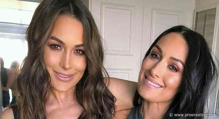 PHOTOS: WWE’s Bella Twins Show Off Stunning Nude Pregnancy Shoot