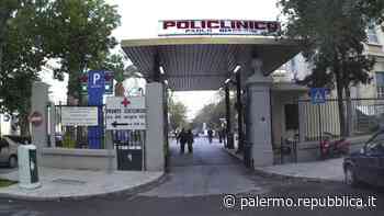 Palermo, resprò azoto: il policlinico paga 650 mila euro alla famiglia di un neonato - La Repubblica