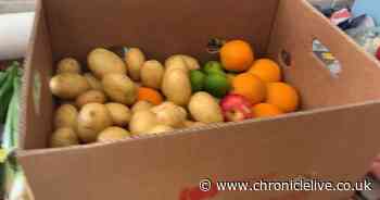 Savvy woman bags £30 of shopping for just £3