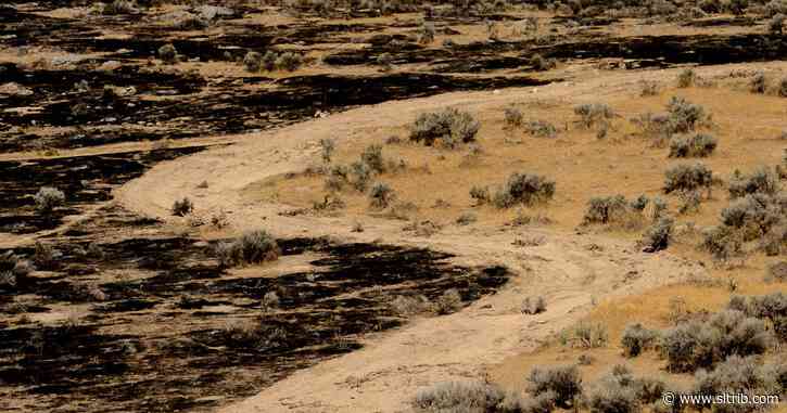 Utahn charged for allegedly driving onto rock art preserve in a move that sparked fire