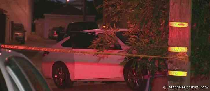 Man Found Shot To Death In Crashed Car In Willowbrook