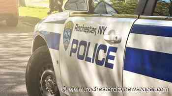 Rochester will put all police disciplinary files online