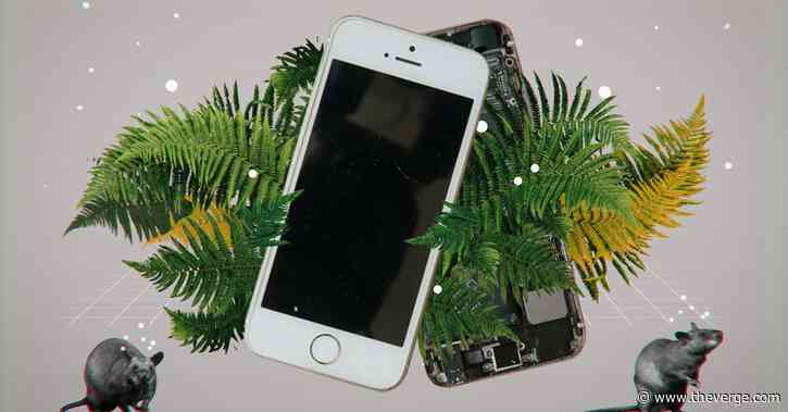 Tracing the link between your phone and the next pandemic