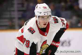 Ottawa Senators: Top 8 prospects worth getting excited about - Puck Prose