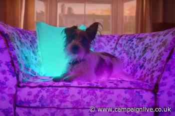 New-business appointments fall as reviews hit by delays