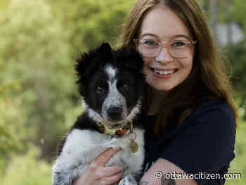 Preparing your home for a ‘pandemic puppy’