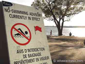Westboro Beach 'not recommended for swimming' due to E. coli levels