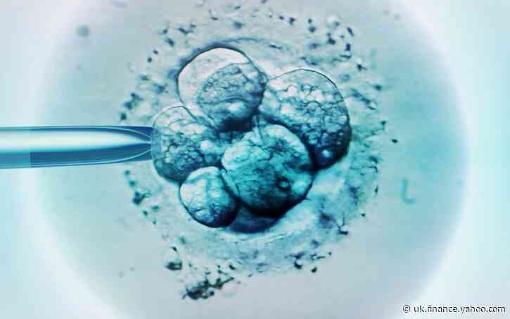 Investment boom in fertility start-ups hits $2.2bn