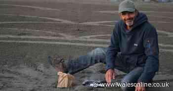 The man behind the sand art designs on Welsh beaches has died suddenly