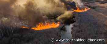 Cinq morts, neuf blessés dans des feux de forêt en Ukraine