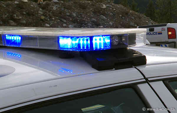 Police corral dangerous driver near Elkford