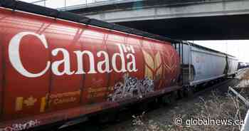 Canada’s largest railways move record grain in June, second quarter