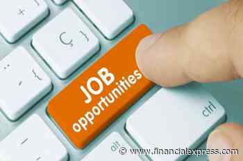 RCFL jobs 2020: 393 Management Trainees, Assistant Officers and other posts vacant; check details - The Financial Express