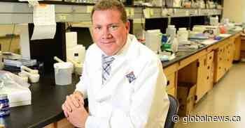 VIDO-InterVac shifts focus to hamsters in efforts to create COVID-19 vaccine