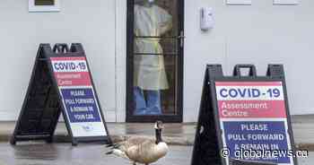 Alberta confirms 47 additional cases of COVID-19, 2 more deaths