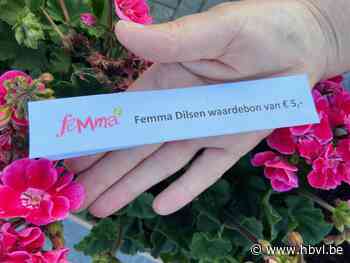 Femma Dilsen start activiteiten weer op (Dilsen-Stokkem) - Het Belang van Limburg