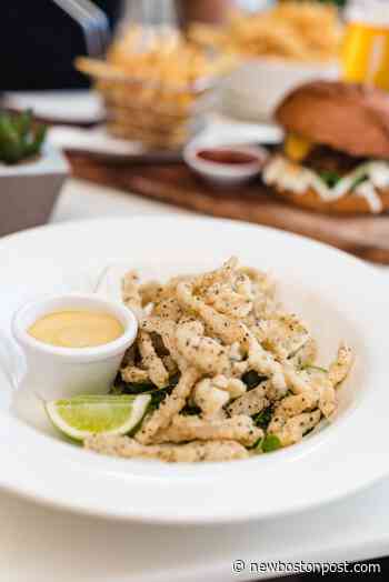 Most Rhode Island Calamari Processed In China Then Sent Back Home | NewBostonPost - NewBostonPost