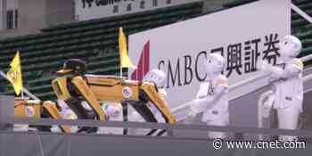 See Boston Dynamics robots shake their butts to root for baseball team     - CNET