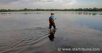 Beaches at Lake Harriet, Lake Hiawatha are closed due to high bacteria levels