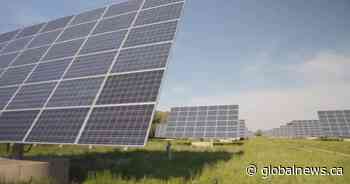 Proposed massive solar farm at Edmonton’s airport could power over 27,000 homes - Globalnews.ca