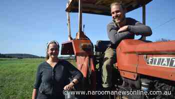 Business coaching for young farmers and fishers - Narooma News