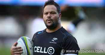 Bristol unveil new defence coach - RugbyPass