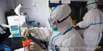 Chinese scientists reused images in 121 medical papers: WSJ - Business Insider - Business Insider