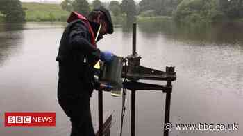Rishton Paper Mill: Children ill after swimming in 'polluted' water