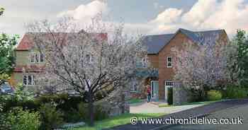 More than 50 jobs created after plans for £11m County Durham housing scheme approved - Chronicle Live