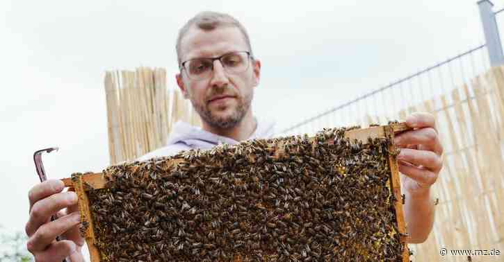 Heidelberg:  Bienen-Leasing gegen das Insektensterben
