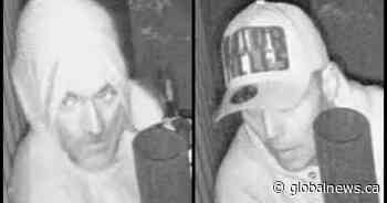 Alberta RCMP search for suspects in $2K theft of antibiotics from Trochu vet clinic