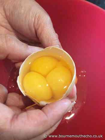 Corona lays a rare triple yolk at her Bournemouth home
