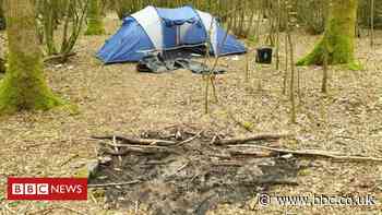 Woodland Trust: Huge increase in litter and fly-tipping