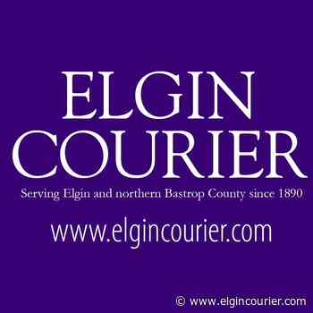 Elgin Arts Association elects new leadership, honors local arts supporters - Elgin Courier