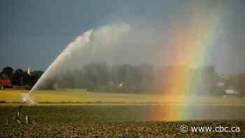 Coverage of the energy sector fails if it ignores climate change: Don Pittis