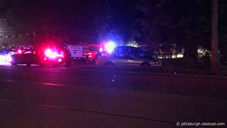29-Year-Old Shot And Killed Inside Apartment In North Versailles