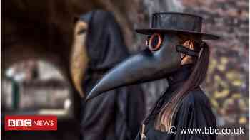 What is bubonic plague?