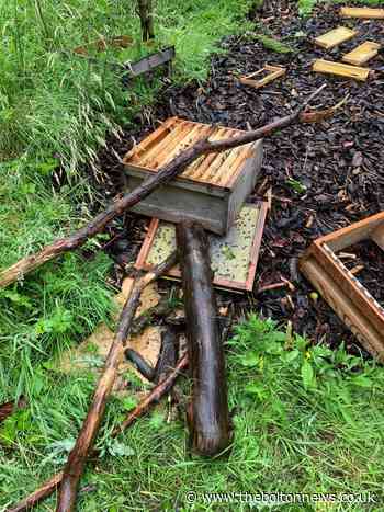Bees killed after vandals wreck hives at Heritage Envelopes Ltd, Blackburn
