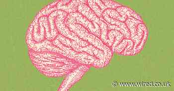 How to hack your brain to remember almost anything