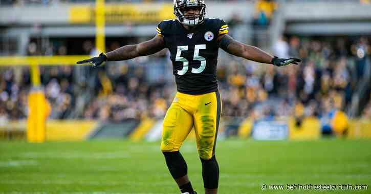 Devin Bush is the key component of the Steelers next legendary defense