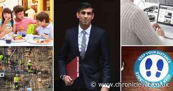Mini-Budget LIVE: Eating out discount, stamp duty changes, jobs and VAT cut